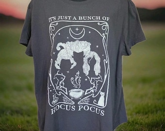 Disney Hocus Pocus Tshirt Womens XL Disney Brand Gray Witch Cat Cauldron Movie