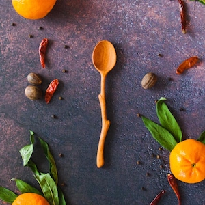 Può includere: Un cucchiaio di legno marrone chiaro con un manico a forma di ramoscello naturale. Il cucchiaio è circondato da agrumi arancioni, foglie verdi, peperoncini rossi essiccati, noci marroni e grani di pepe nero su una superficie scura.