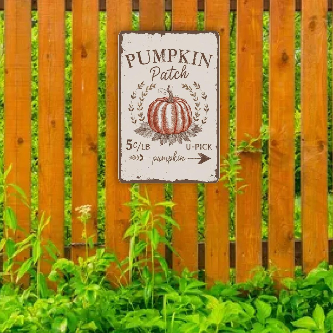 Vintage Pumpkin Patch Thanksgiving Sign main image 0