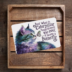 Whimsical &quot;Just When The Caterpillar Thought The World Was Over&quot; Cat & Butterfly Metal Sign Vibrant Wall Art With Inspirational Message 8x12
