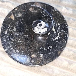6 inch Fossil Stone Plate – Polished Ammonite & Orthoceras Fossil Marble Dish