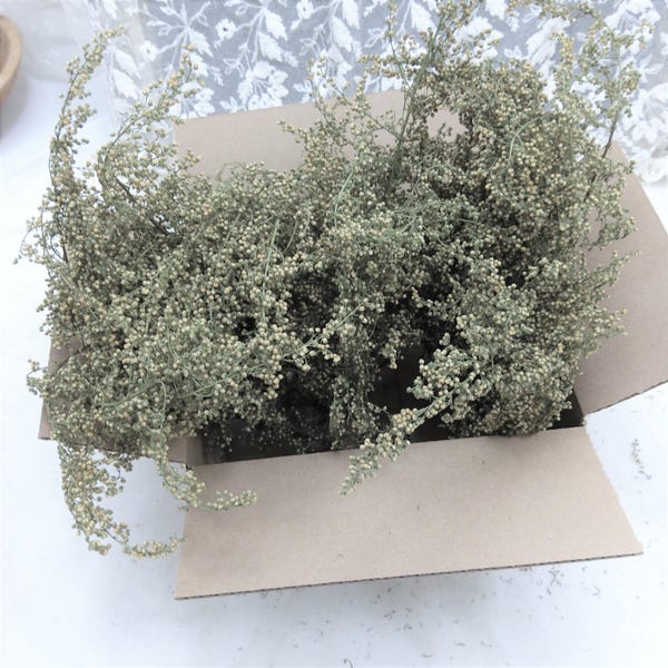 Sweet Annie Shorts Natural Dried Artemisia Herb 2025 Easter Spring Craft Floral