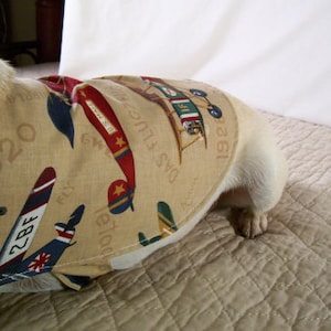 Dog, Dog Clothes, Dog Outfit, Airplanes, Steam Punk