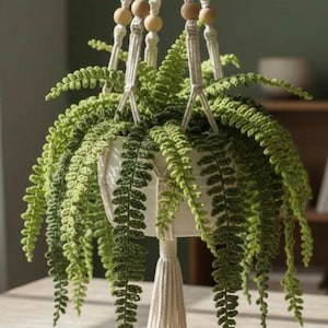 Hanging Fern Plant Crochet Pattern • Life-like Greenery • Faux Plant Design • Home Decor • Digital Download PDF