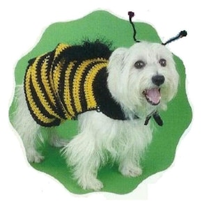 Puede incluir: Un perro blanco con un disfraz de abeja hecho a mano. El disfraz presenta un suéter de crochet a rayas negras y amarillas y antenas. El perro está sobre un fondo verde.