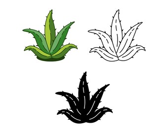 Mexican Agave SVG, Desert Succulent Clipart, Texas Tequila PNG