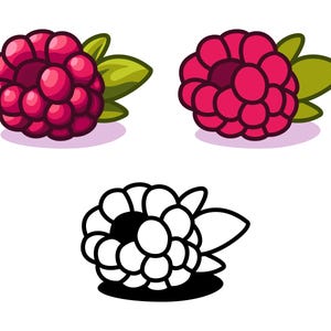 May include: Two vibrant raspberry illustrations featuring deep pink fruit segments and green leaves, accompanied by a single black and white line art version of the same raspberry design, all presented against a plain white background.