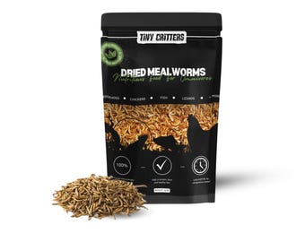 Tiny Critters- Dried Mealworms