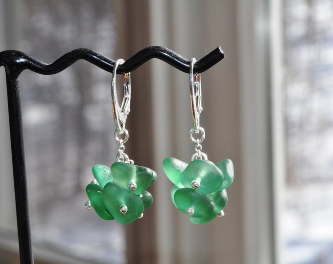 Swinging Genuine Sea Glass Earrings Clustered Teal Sterling Silver Beach Glass Earrings Teal Beach Cluster Earrings Free Shipping 3796