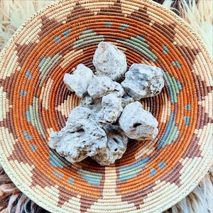 Pure Ecuadorian White Copal Resin | Sacred Copal Incense | Ethically Harvested from the Ecuadorian Jungle