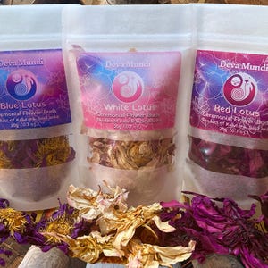 Ceremonial Lotus Trinity (Blue Lotus, White Lotus, and Red Lotus) Whole Flowers | Lovingly Grown in Sri Lanka