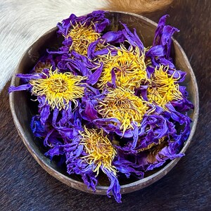 Ceremonial Blue Lotus 'Nymphaea caerulea' Whole Flowers | Lovingly Grown in Sri Lanka