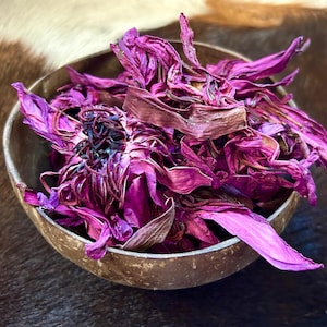 Ceremoniële rode lotus &#39;Nymphaea rubra&#39; hele bloemen | Liefdevol geteeld in Sri Lanka