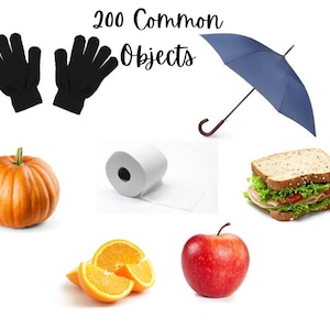 200 cartes mémoire d'objets courants, vraies images, imprimables