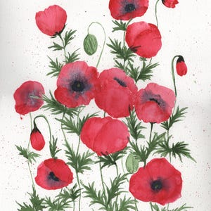 Red Poppies Original Watercolor Art, 12”x16”