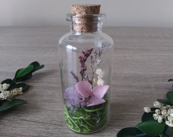 Miniature Flower Garden Jar Nature Scene Terrarium