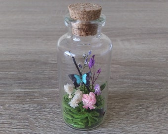 Miniature Butterfly Flower Garden Jar Nature Scene Terrarium