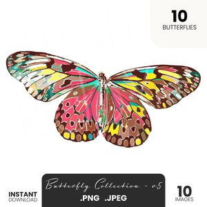 V5 Vibrant Butterfly Clipart Set | 10 PNG and JPEG Butterflies | High-Quality Digital Download