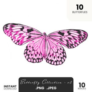 V2 Vibrant Butterfly Clipart Set | 10 PNG and JPEG Butterflies | High-Quality Digital Download