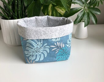 Monstera Blue Box - Large