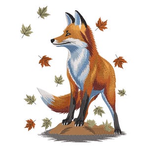 May include: A red fox with a white chest and a bushy tail stands on a brown rock with fallen leaves around it.