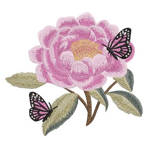 May include: A pink flower with a yellow center and two butterflies, one black and one pink, on a green stem with leaves.
