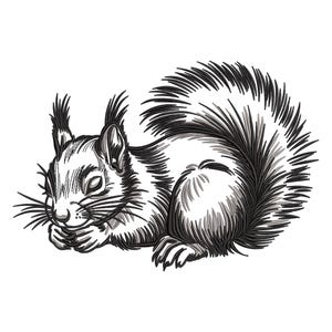 May include: A detailed monochrome illustration of a squirrel in a resting pose. The squirrel is rendered with intricate linework, highlighting its fur, whiskers, and bushy tail. The artwork is set against a plain white background.