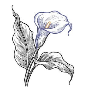 Puede incluir: Ilustración detallada en blanco y negro de un lirio de agua. La flor tiene un pétalo blanco con contorno azul y estambre amarillo. Las hojas son grandes y detalladas con aspecto oscuro y texturizado. La imagen está sobre fondo blanco.