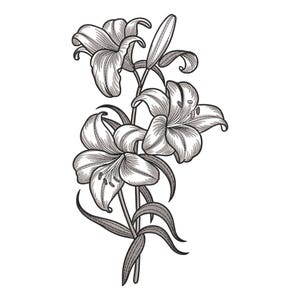Puede incluir: Un dibujo en blanco y negro de tres lirios con tallos y hojas.