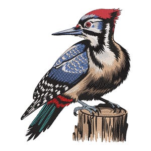 Peut inclure: Un pic coloré à tête rouge et à rayures noires et blanches perché sur une souche d'arbre. L'oiseau a des plumes bleues et vertes sur ses ailes et sa queue.