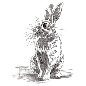 May include: A black and white line drawing of a rabbit sitting up with its ears perked up. The rabbit is looking to the right of the image.