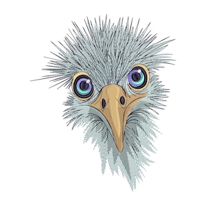 May include: Close-up of an ostrich's face with blue eyes and a long, pointed beak. The ostrich's feathers are a light gray color.