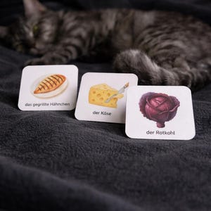 Deutsch Vokabeln Essen & Einkaufen – Karteikarten PDF mit Bildern | De En Es Fr La