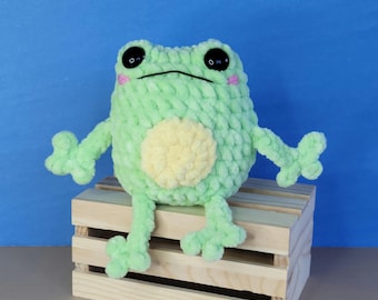 Francis the Chubby Frog Handmade Crocheted Amigurumi Plushie