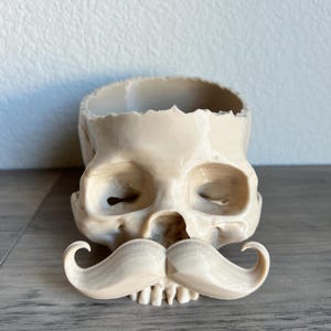 Skull Bowl with Mustache – Gothic Decor, Halloween Candy Dish, Unique Gift