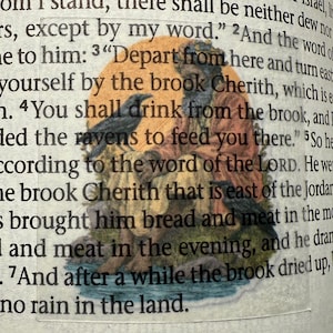 Minibijbelstickers - Oude Testament Set #2 schriftstickers