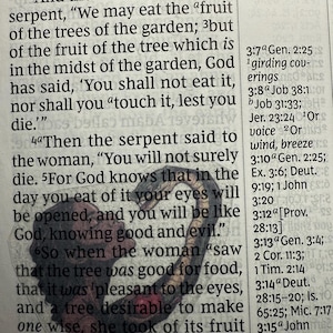 Women Bible Stickers – Clear Scripture Stickers for Journaling and Study | Women In the Bible | Christian Faith Gift
