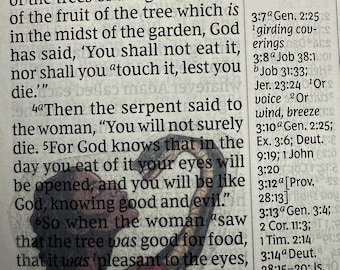 Women Bible Stickers – Clear Scripture Stickers for Journaling and Study | Women In the Bible | Christian Faith Gift