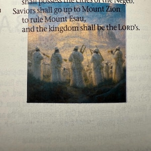 Bible Sticker Collection Set - Clear Scripture Stickers - Christ Parables and Miracles, OT Set #2 & Apocrypha