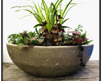 May include: A large, round, concrete planter with a textured surface. The planter is filled with a variety of green and red plants. The text "DOROSTUDIOS HANDCRAFTED STONE • POTTERY" is visible in the image.