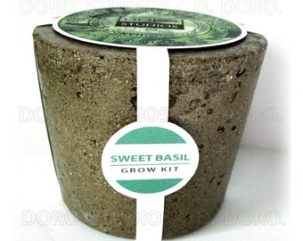 Set of Two Indoor Sweet Basil Grow Kits, Featuring Handcrafted Reusable Planters