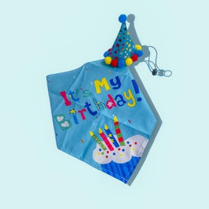 Conjunto de chapéu e bandana para aniversário de cachorro: traje festivo para festa de animais de estimação