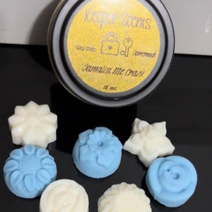 Highly Scented Wax Melts | Natural Soy Wax Melts | Long-Lasting Fragrance | Eco-Friendly, Reusable Wax Melts | Vegan, Clean Burning Scents
