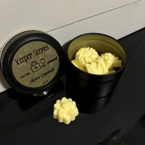 Highly Scented Wax Melts | Natural Soy Wax Melts | Long-Lasting Fragrance | Eco-Friendly, Reusable Wax Melts | Vegan, Clean Burning Scents
