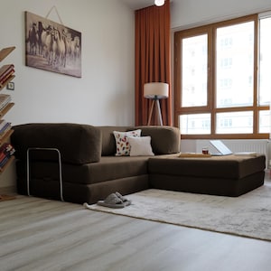 Livingroom cozy sleeper sofa styled in lounge and bed modes, offering flexible comfort and modern simplicity for everyday living.