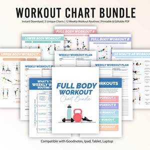 Workout Chart Bundle | Printable Gym Diagrams | Interactive Dumbbell and Bodyweight Exercise Guide | Basic Fitness Posters | Editable Plans