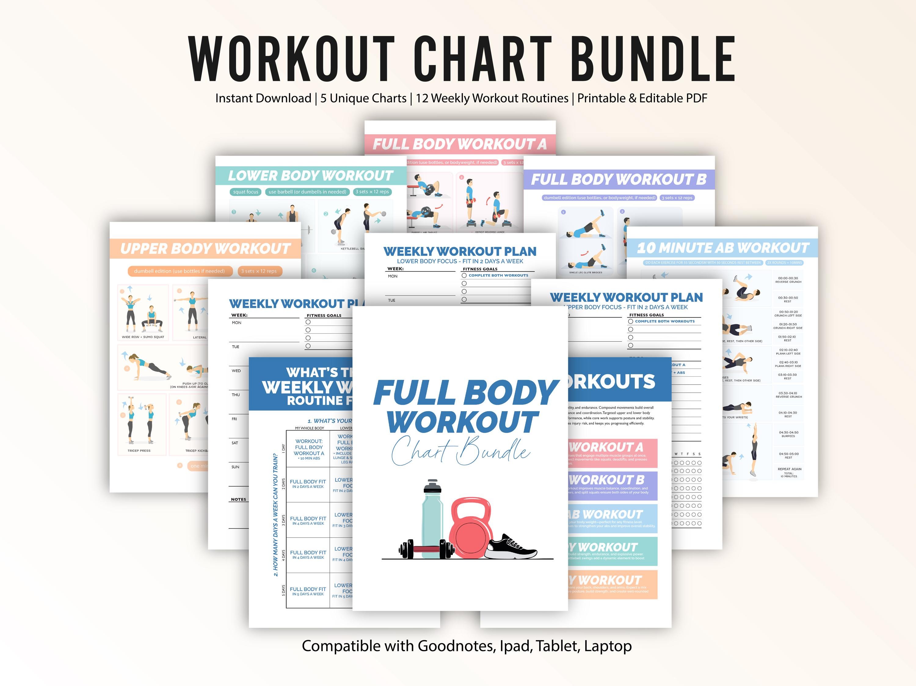 Summer Toned Body Workout Plan Female Womens Dumbbell Workout Chart