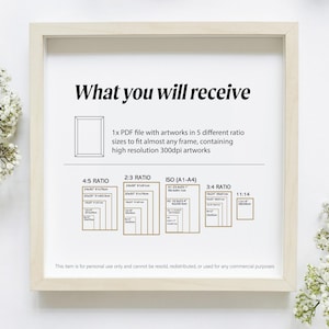 What you will receive