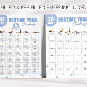 Filled & Pre-filled Pages included