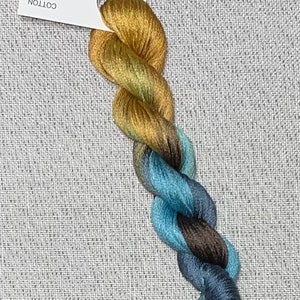 Hand dyed DMC floss - variegated embroidery thread for cross stitch - Bookworm